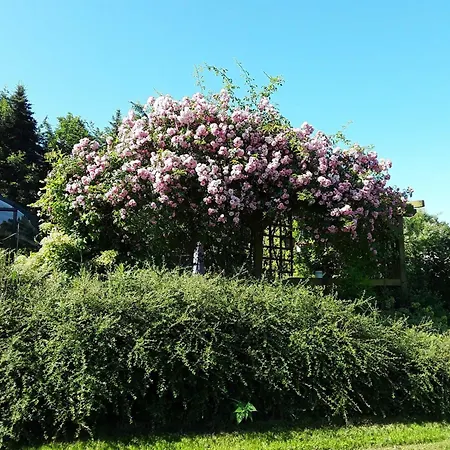 Am Hufegraben Farm stay *