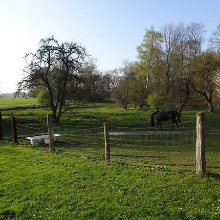 Farm stay Am Hufegraben